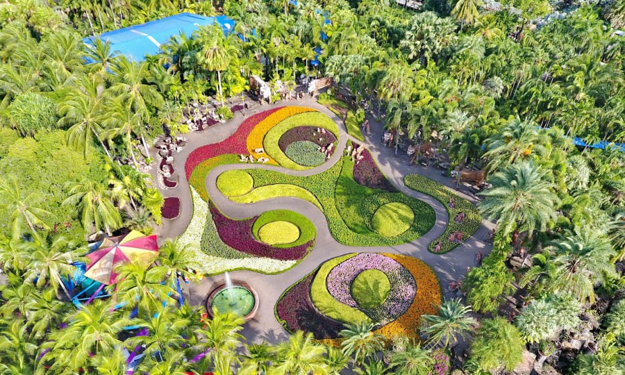 Butterfly Hill