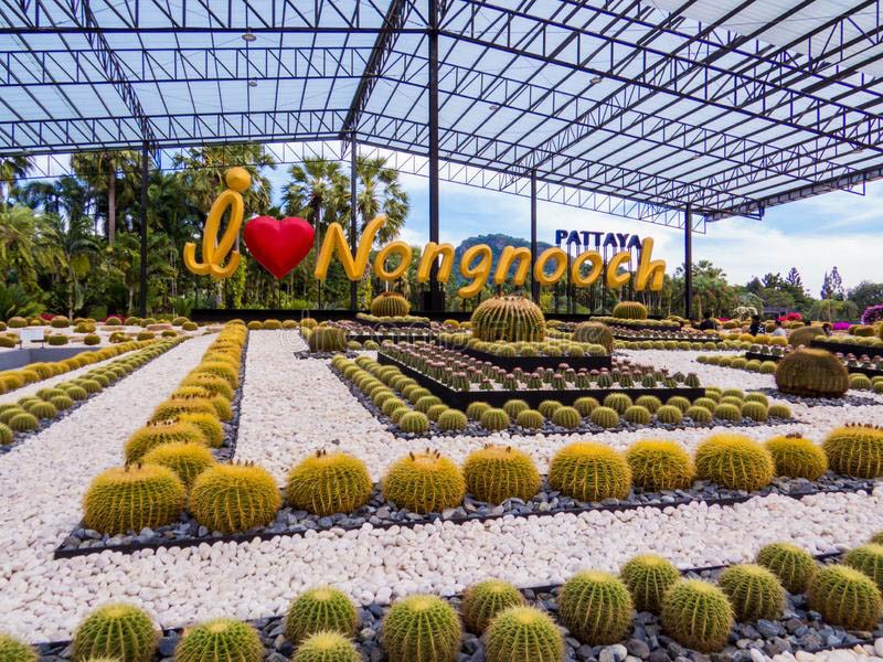 Vườn xương rồng Nong Nooch