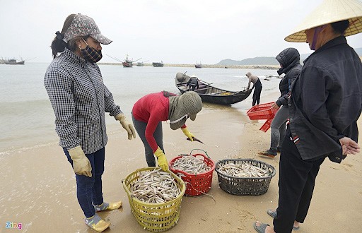 Chợ cá sôi nổi ở biển Cửa Hội