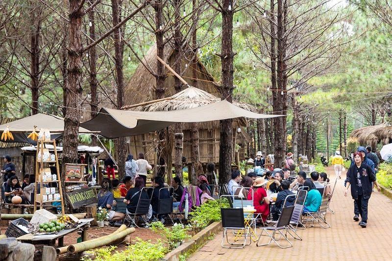 Chợ đêm Măng Đen: Khám phá vẻ đẹp bình yên dưới tán thông xanh