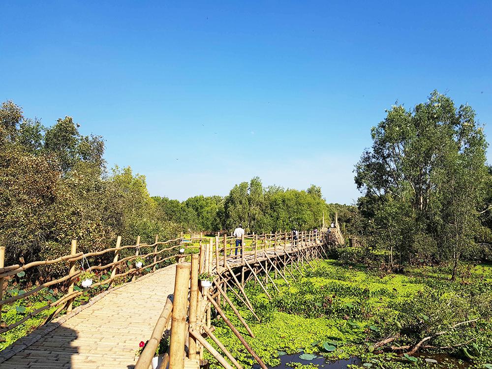 KHÁM PHÁ RỪNG TRÀM TRÀ SƯ