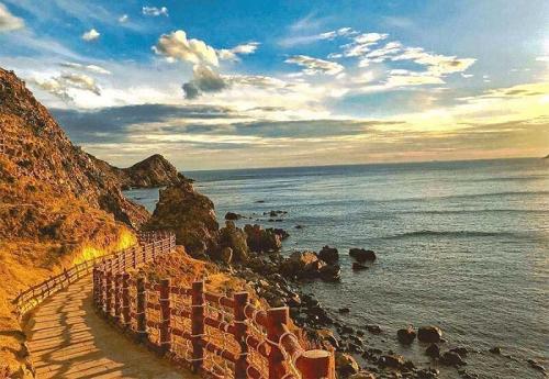 Review Bãi dứa Quy Nhơn – Bãi san hô tự nhiên đẹp nhất tại Nhơn Lý