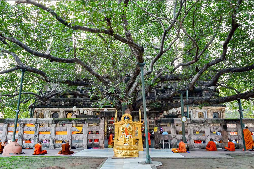 Bồ đề đạo tràng Bồ đề đạo tràng
