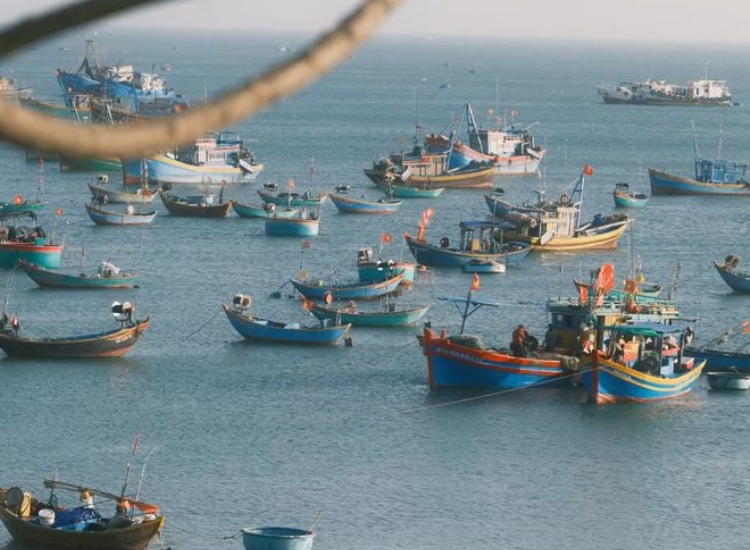 Làng chài Mũi Né Khung cảnh yên bình ở Làng chài
