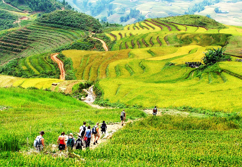 du lịch Sapa 1/5