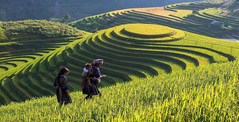 Du lịch Sapa 1/5 có gì đẹp?