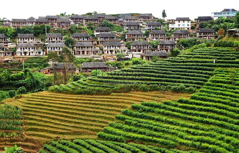 Tây Song Bản Nạp Trung Quốc