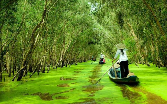 rừng tràm Trà Sư