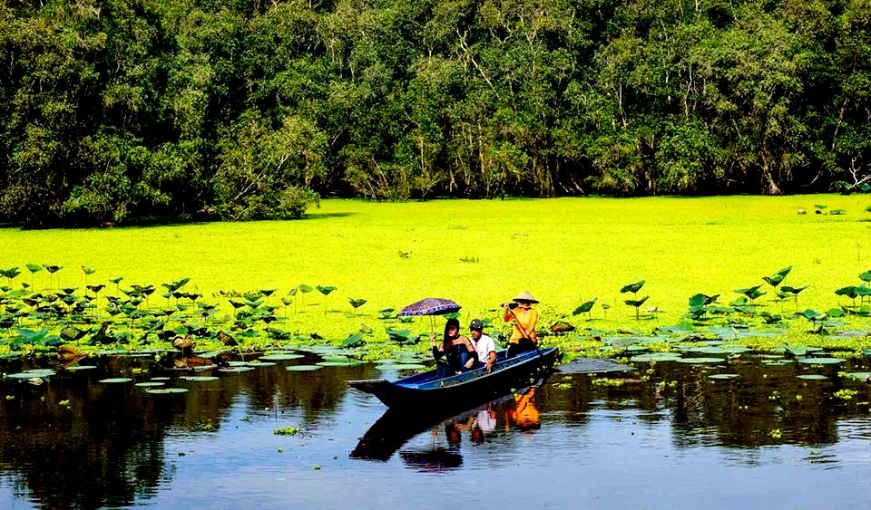 rừng tràm Trà Sư