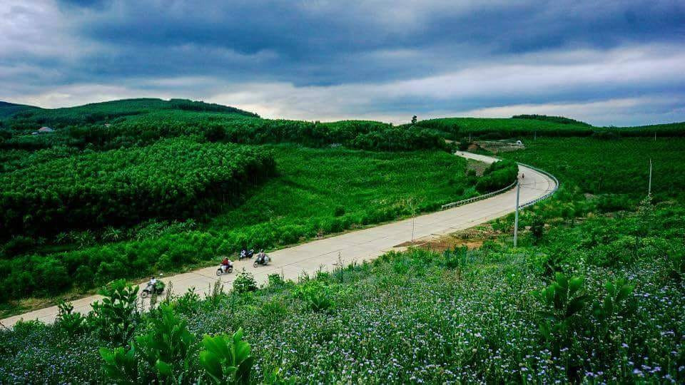 Cao nguyên Vân Hòa Phú Yên Cao nguyên Vân Hòa Phú Yên