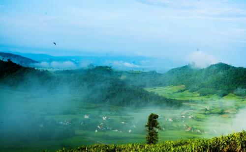 Chinh phục cao nguyên Vân Hòa Phú Yên - Đà Lạt thu nhỏ