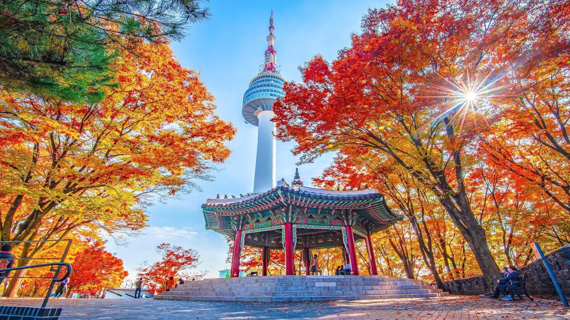 Cách sử dụng tàu điện ngầm và tàu cao tốc Seoul tại Hàn Quốc