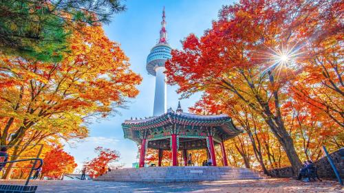 Cách sử dụng tàu điện ngầm và tàu cao tốc Seoul tại Hàn Quốc