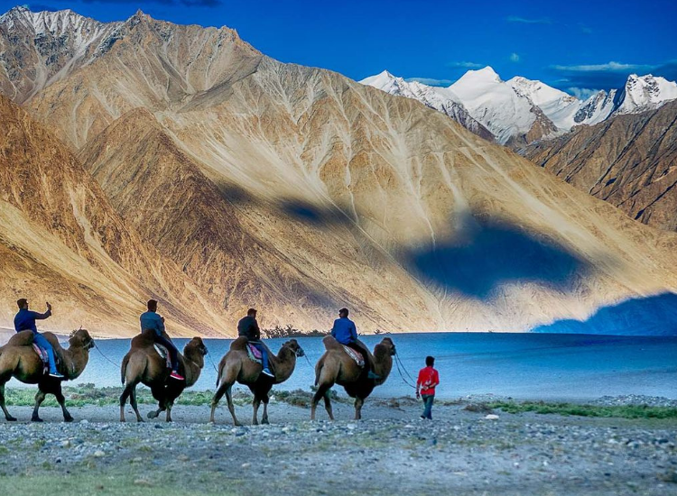 Khám phá Ladakh tự túc