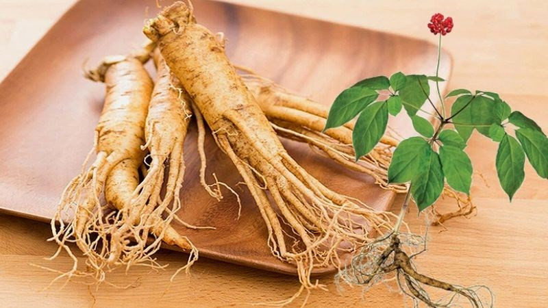 Nhân sâm Hàn Quốc Nhân sâm Hàn Quốc