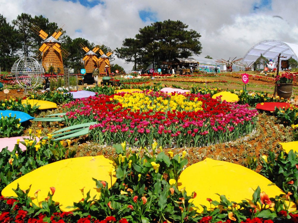 Festival hoa