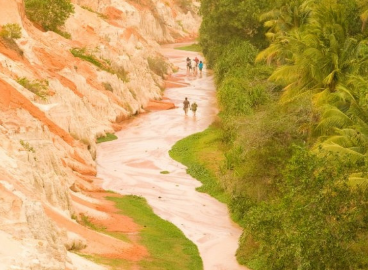 Khung cảnh Suối Tiên Mũi Né với vách cát đỏ độc đáo khi check-in Phan Thiết 2026