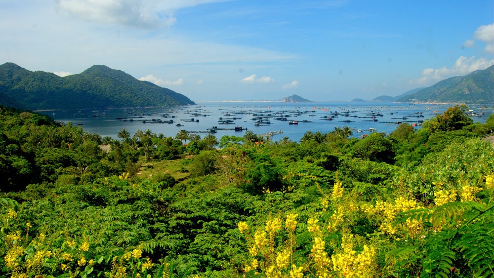 Kinh nghiệm du lịch Phú Yên