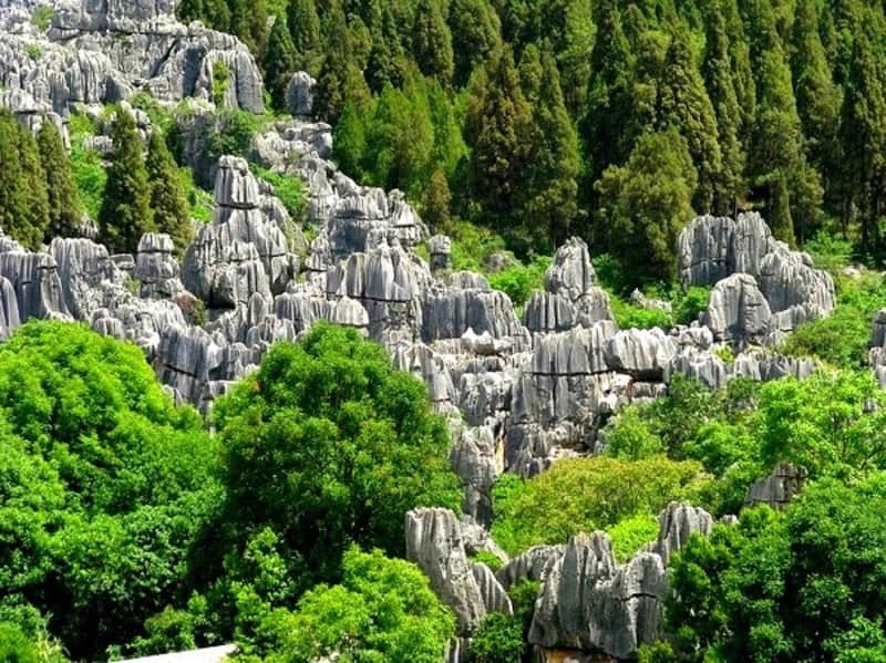 Khám phá mê cung rừng đá Thạch Lâm