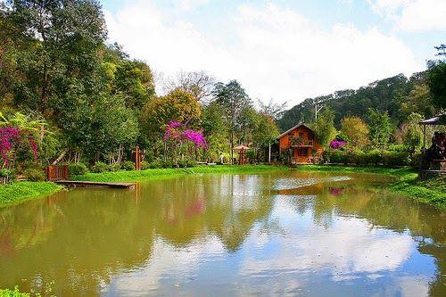 Du lịch Đà Lạt 2026: Khám phá Ma Rừng Lữ Quán