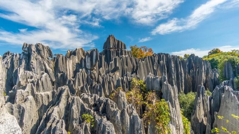 Kinh nghiệm tham quan Rừng đá Thạch Lâm