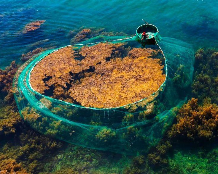 Top 10 địa điểm check-in Quy Nhơn 2026