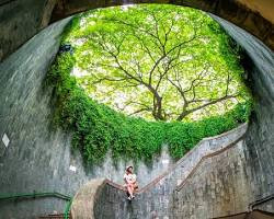 Fort Canning Park