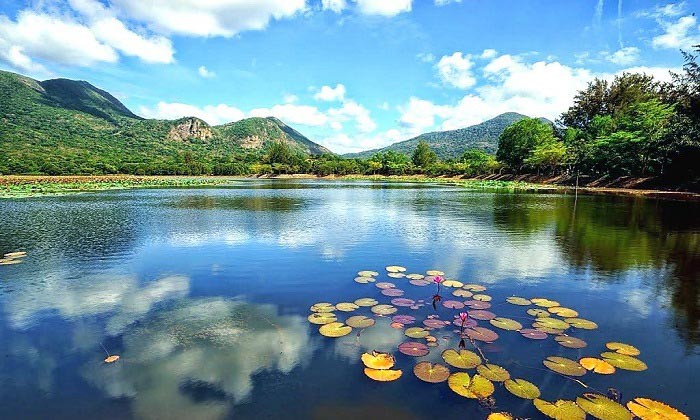 Chiêm ngưỡng vẻ đẹp hồ Hải An