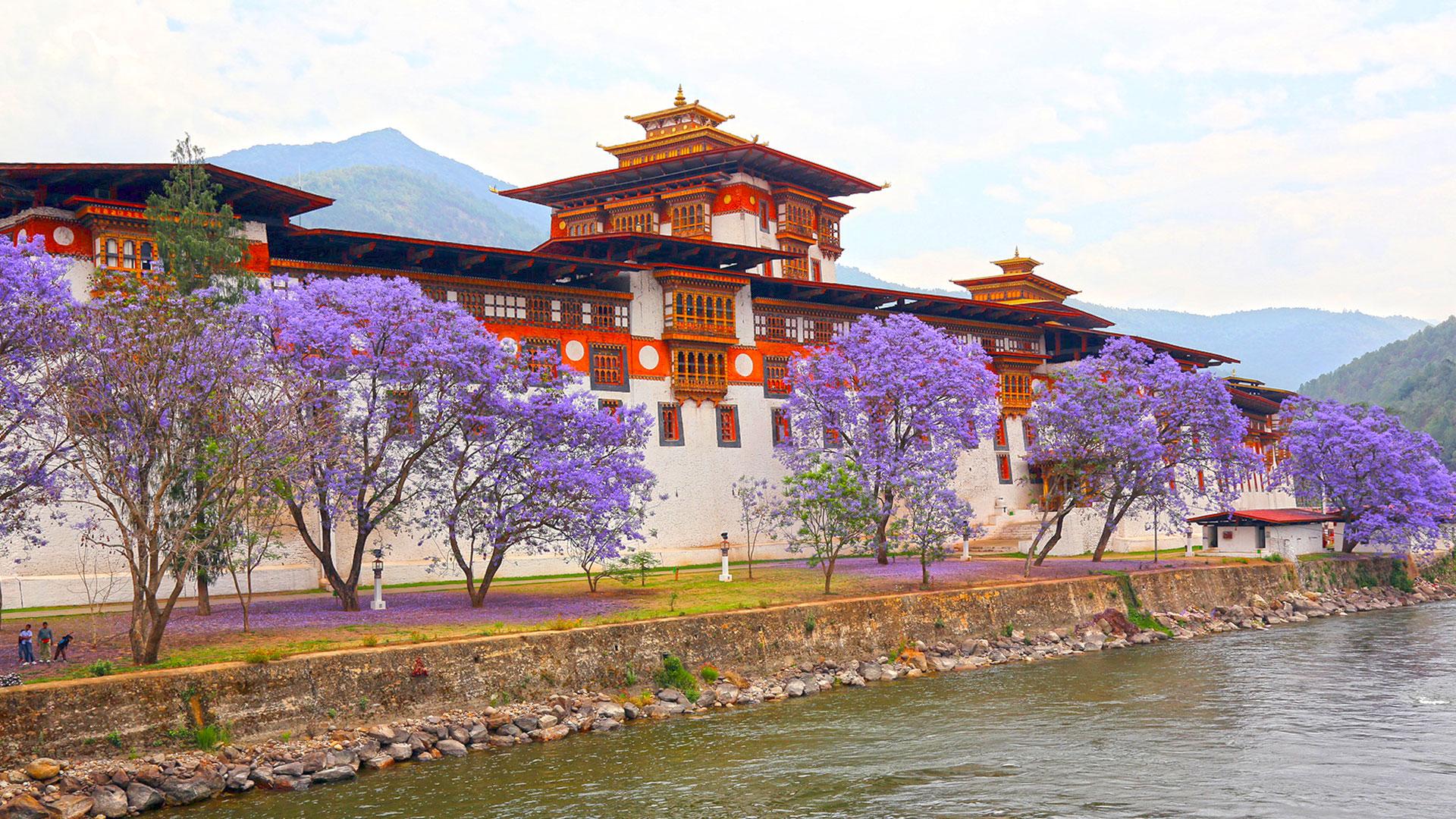 Tổng kết tour bhutan 2026