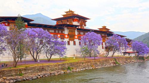 Tổng kết tour bhutan 2026