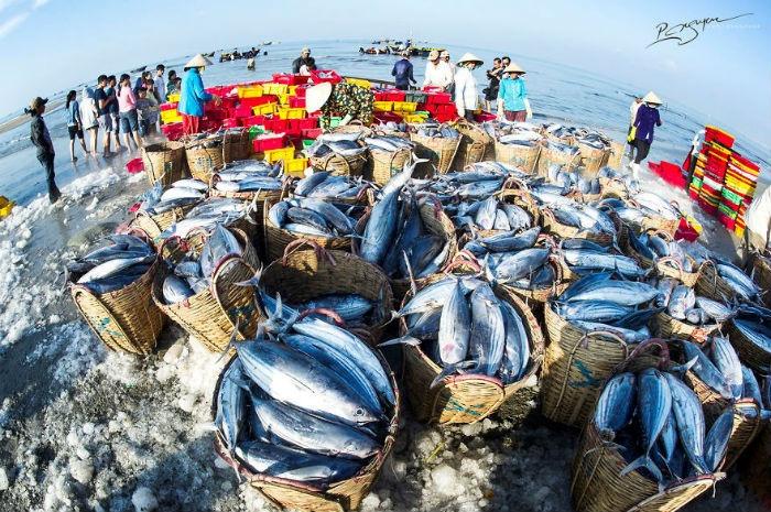 Cảng Cá Long Hải - Nét Đẹp Miền Biển Khơi Ở Vũng Tàu