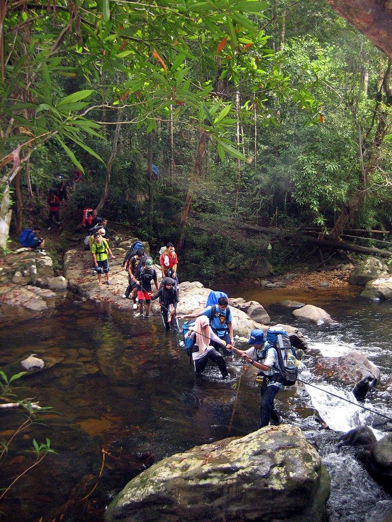 Công viên quốc gia Taman Negara – Hành trình trekking giữa rừng già Malaysia