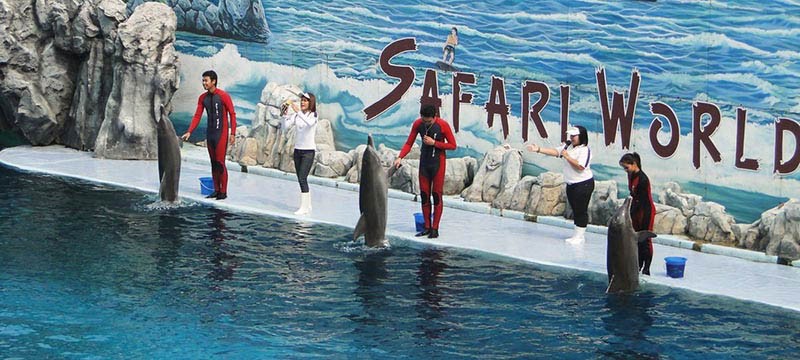 Giá tour du lịch Thái Lan Safari World Giá tour du lịch Thái Lan Safari World