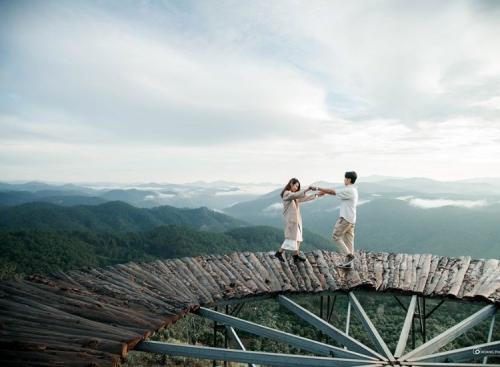 Tour săn mây Cầu Gỗ Đà Lạt 2026 trọn gói có gì hot?