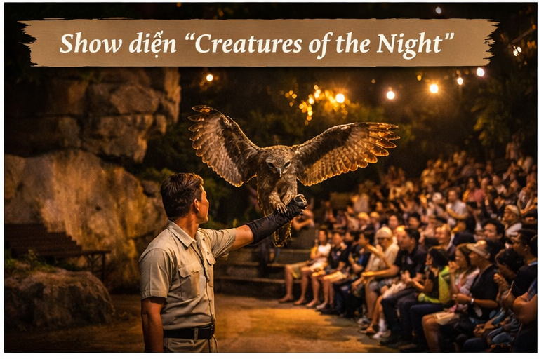 Night Safari Singapore