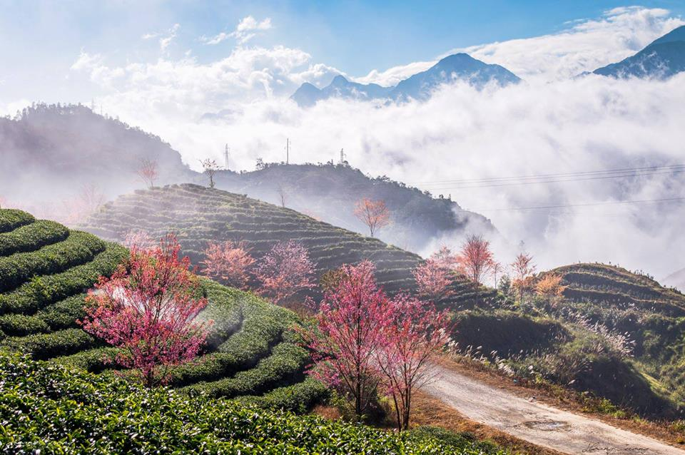 Những Thước Phim Du Lịch Tuyệt Đẹp Và Câu Chuyện Đầy Cảm Hứng Của Cô Gái Việt Nghỉ Việc Đi Khắp Nơi
