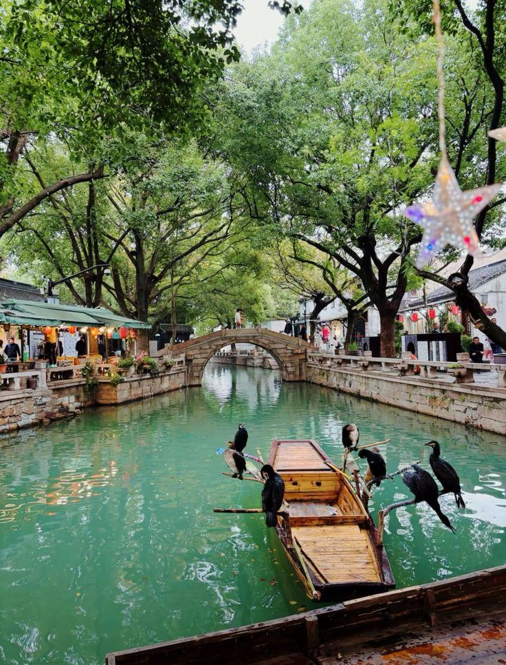 Review Phượng Hoàng Cổ Trấn