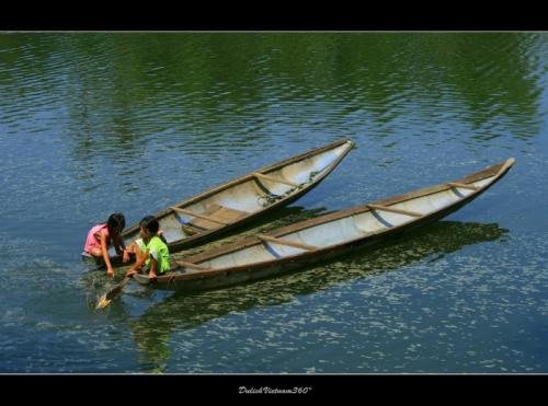 Sao Anh Không Về Chơi Thôn Vĩ?