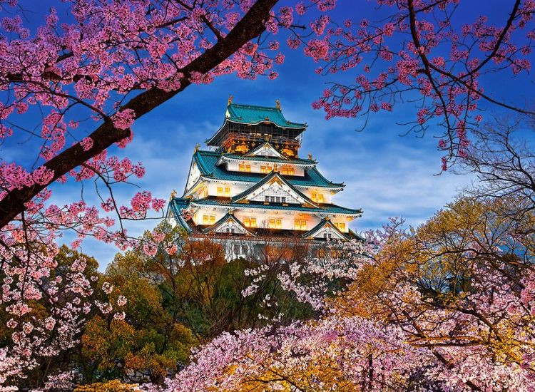 Câu hỏi thường gặp khi du lịch Osaka Du lịch Osaka 3