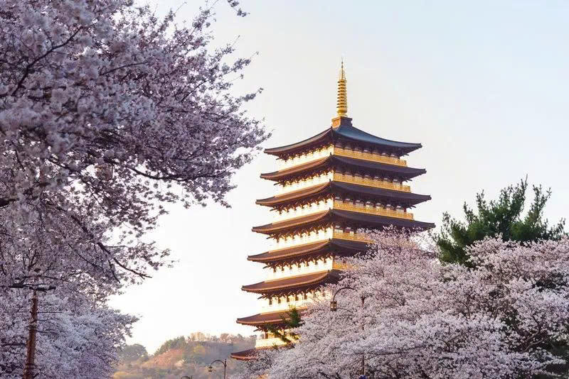 Gyeongju Gyeongju