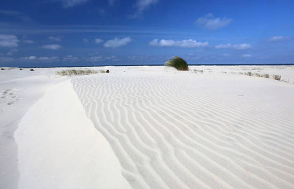Cồn cát trắng trên quần đảo Wadden (hay còn được gọi là quần đảo Frisian). 20-canh-dep-noi-tieng-cua-ha-lan-ivivu-4