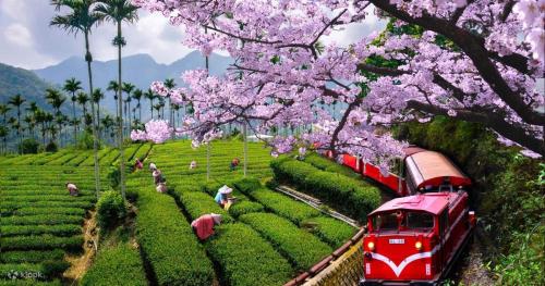 Văn hóa ứng xử khi du lịch Đài Loan