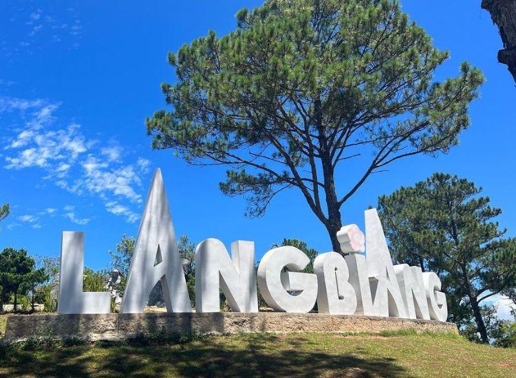 Tour Đà Lạt Tết 2026 Trọn Gói – Hành Trình Du Xuân Nhẹ Nhàng & Trọn Vẹn