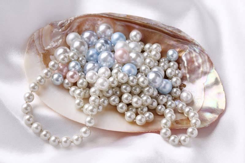 nuoi-cay-ngoc-trai-o-phu-quoc