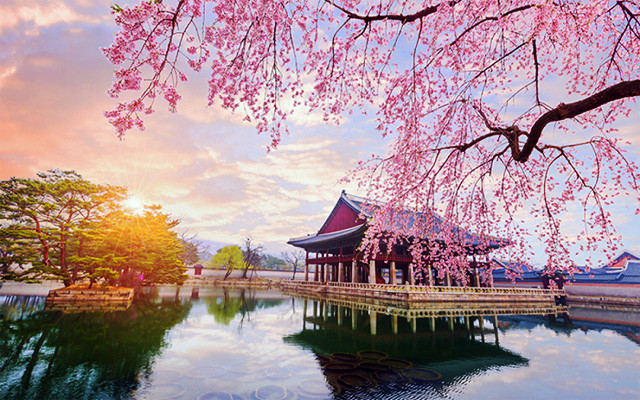 Seoul - Đảo Nami Seoul - Đảo Nami