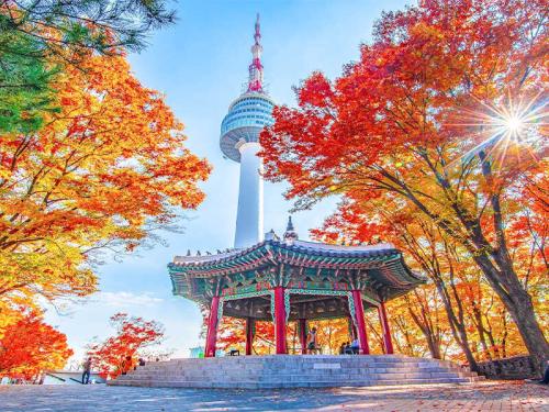 Tour Du Lịch Hàn Quốc – Khám Phá Xứ Sở Kim Chi Với Giá Tốt Nhất 2026