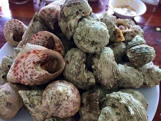 Do được đánh bắt và tiêu thụ trong ngày, hải sản ở đây luôn ở trạng thái tươi ngon nhất mà giá lại rẻ. Các loại hải sản phổ biến ở đây là cá, mực, ghẹ, ốc, cầu gai… đặc biệt là tôm hùm. Tôm hùm to, chắc, vỏ cam đẹp mắt, rất được du khách ưa chuộng. (Nguồn: Internet) Do được đánh bắt và tiêu thụ trong ngày, hải sản ở đây luôn ở trạng thái tươi ngon nhất mà giá lại rẻ. Các loại hải sản phổ biến ở đây là cá, mực, ghẹ, ốc, cầu gai… đặc biệt là tôm hùm. Tôm hùm to, chắc, vỏ cam đẹp mắt, rất được du khách ưa chuộng. (Nguồn: Internet)